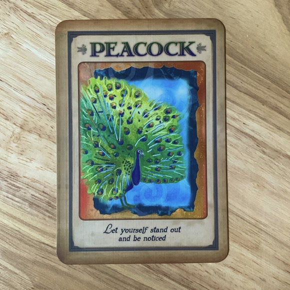 Messages from your animal spirit guides Oracle - Picture 5 of 14